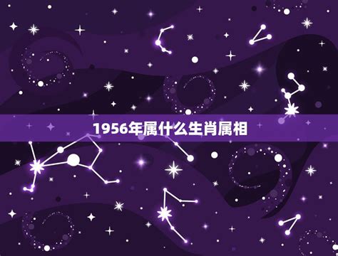 1956年五行|1956年属什么生肖